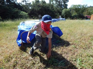 camporee-023