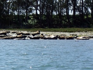 11-slough 4-24-2016 9-55-29 AM