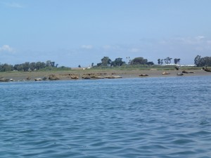 13-slough 4-24-2016 10-02-07 AM