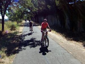 05-Rodata 7-8-2017 10-57-30 AM