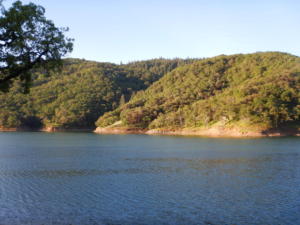 15-LakeSonoma-014