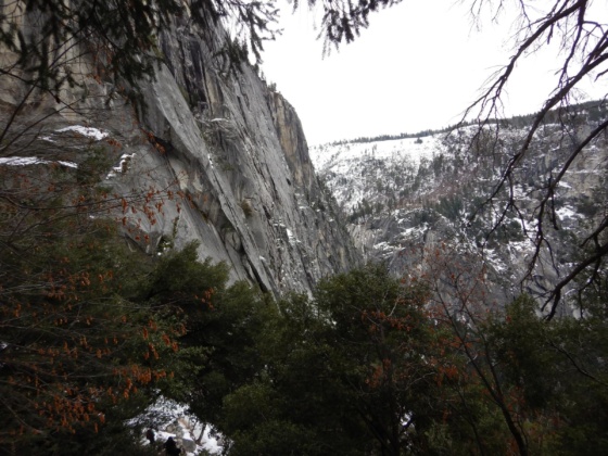 Yosem-018