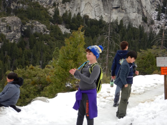 Yosem-021